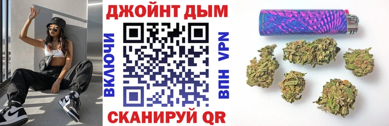 Как найти наркотики Владимир Альфа ПВП Псилоцибиновые грибы Канабис Гашиш