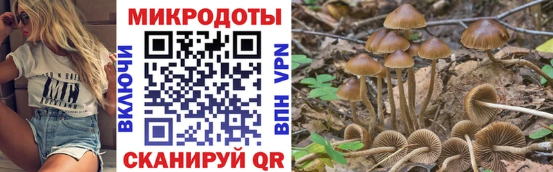 Галлюциногенные грибы GOLDEN TEACHER Владимир
