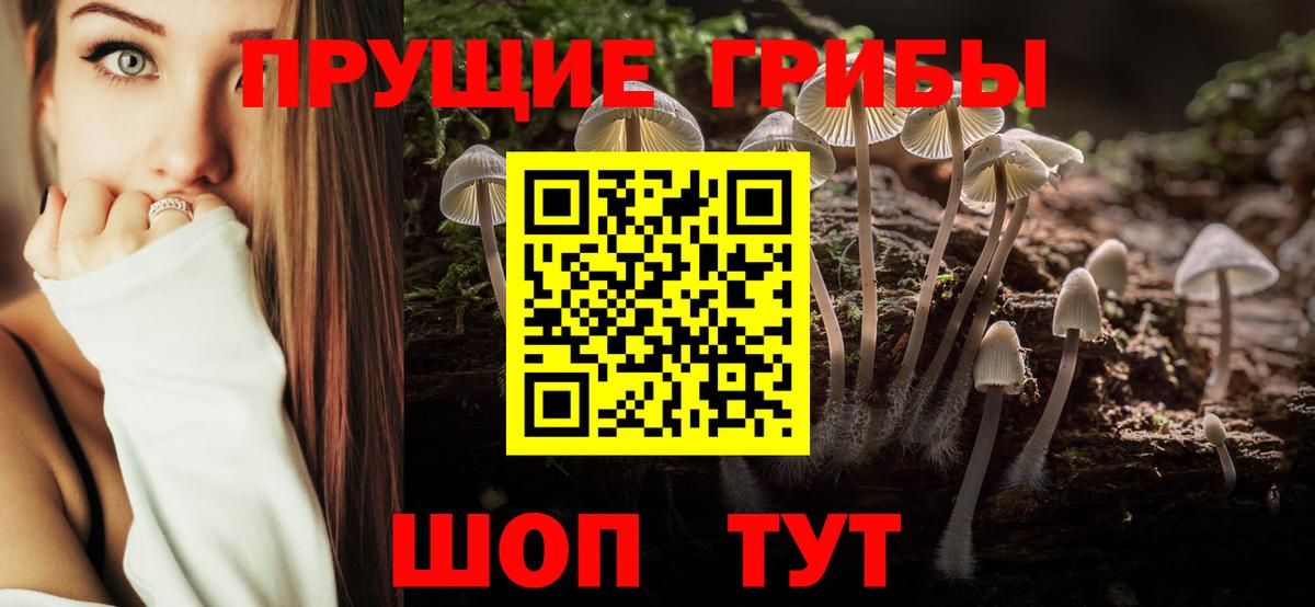 Галлюциногенные грибы Psilocybe  Вход с VPN  Галлюциногенные грибы прущие грибы  Владимир 